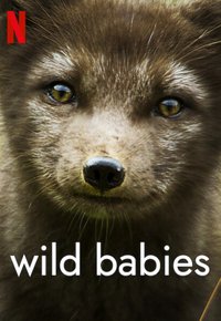 Plakat Serialu Dzieci dzikich zwierząt (2022)